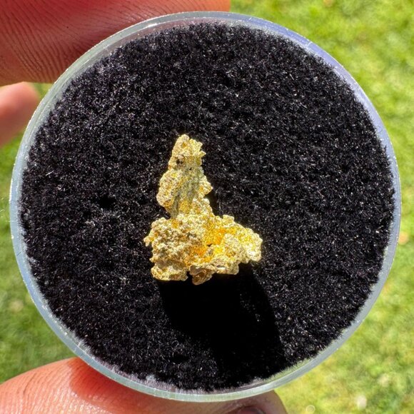 California Native Gold Crystal -  1.16 grams - Picture 2 of 4
